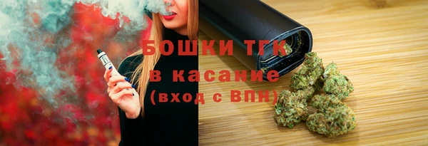 мет Новозыбков