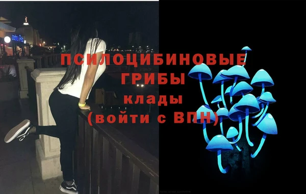 трава Новодвинск