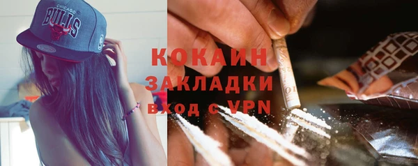 мет Новозыбков