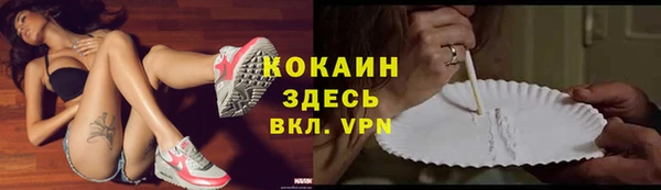 трава Новодвинск