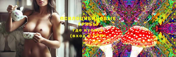 трава Новодвинск