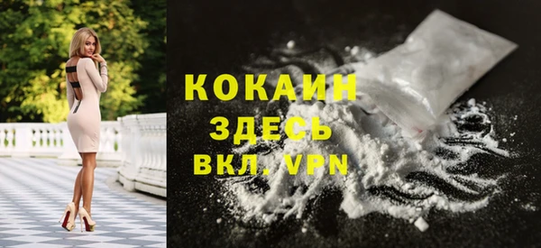 мет Новозыбков