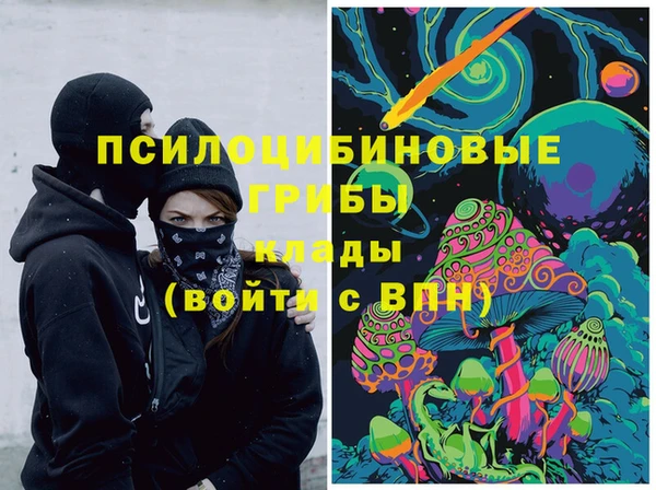 ГАЛЛЮЦИНОГЕННЫЕ ГРИБЫ Нефтегорск