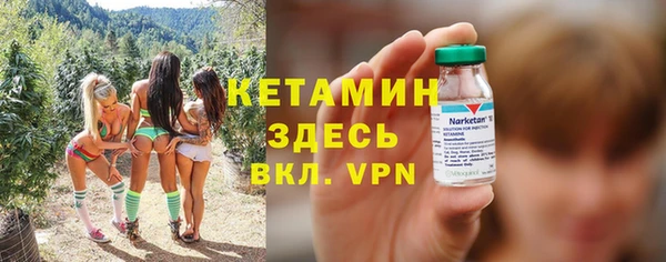 мет Новозыбков