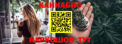 индика Гусев