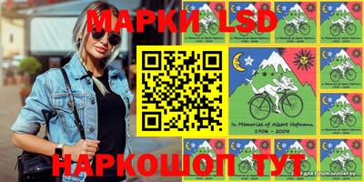 индика Гусев