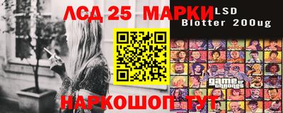 индика Гусев