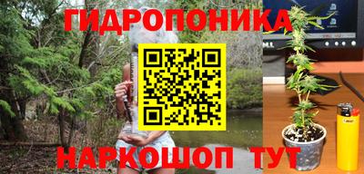индика Гусев