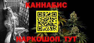 индика Гусев