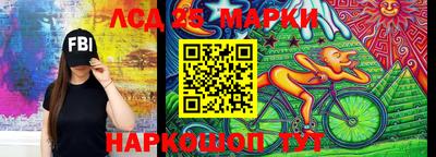 индика Гусев