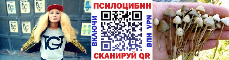 Псилоцибиновые грибы мухоморы  Кизляр 
