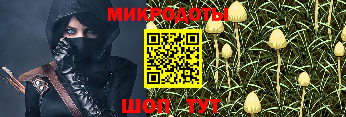 Псилоцибиновые грибы мицелий  Псилоцибиновые грибы мухоморы  Кизляр  Вход с VPN 